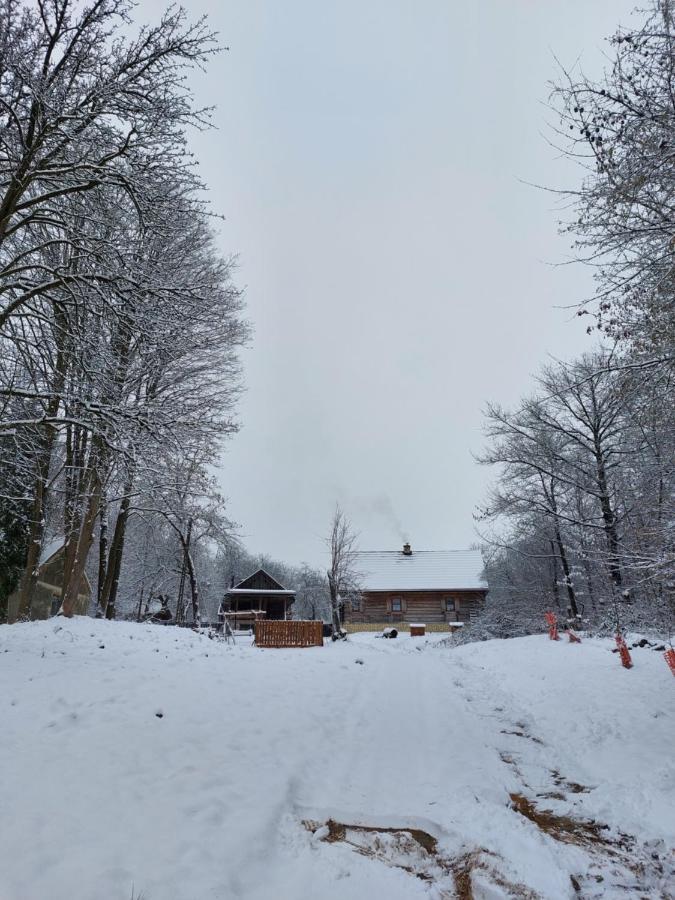 Holiday home Lipowewzgorze Antek *