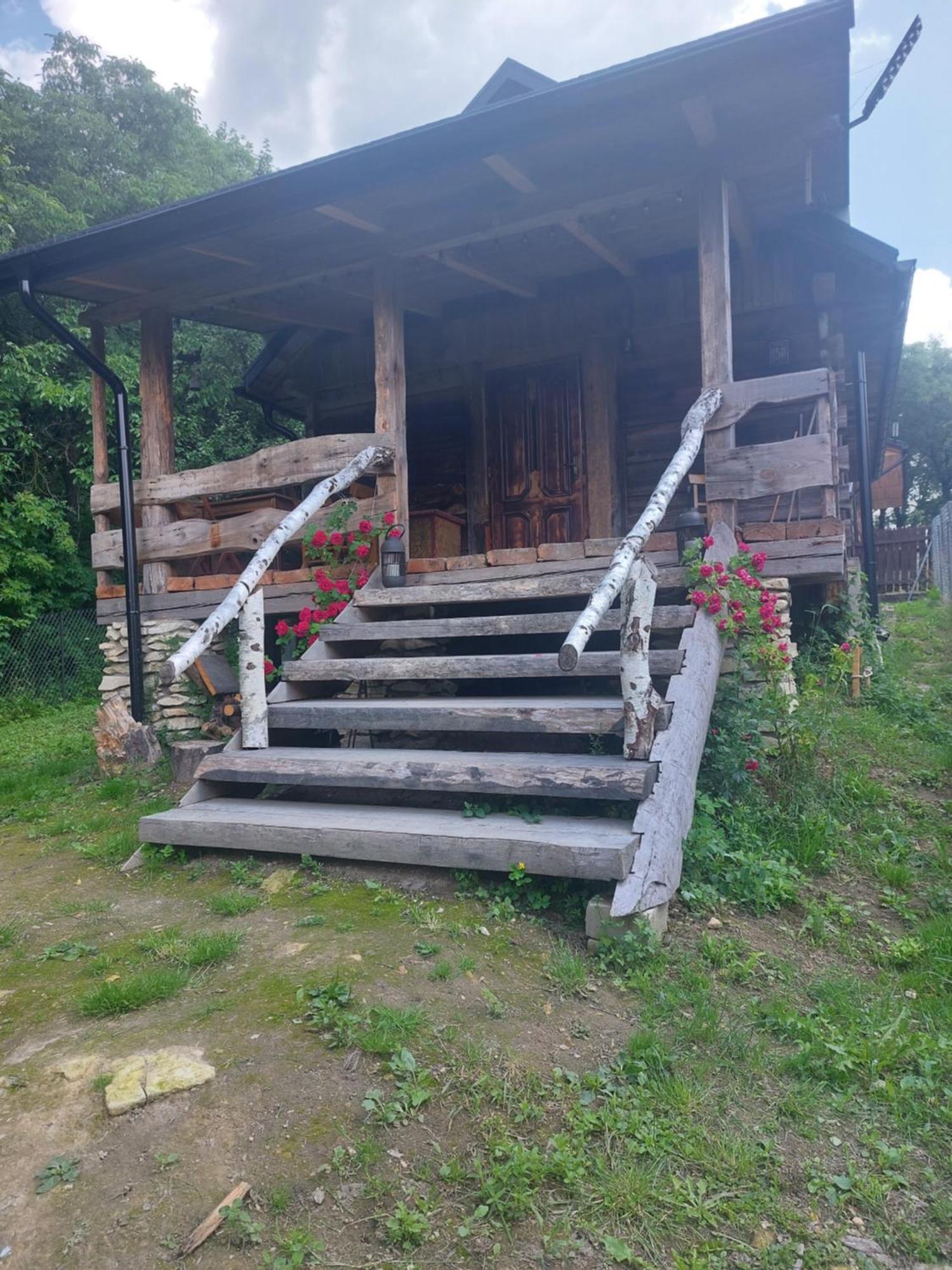Lipowewzgorze Antek *